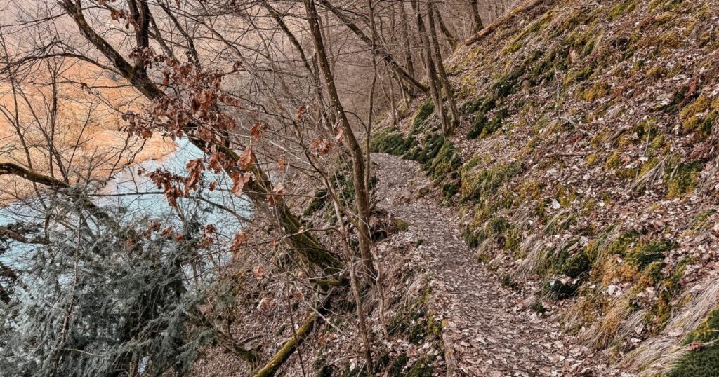Cesta ke zřícenině hradu Týřov