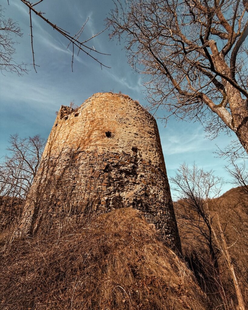 Dochovalá věž zříceniny hradu Týřov