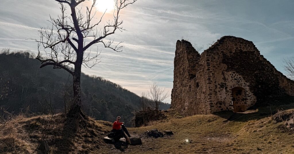 Okolí zříceniny hradu Týřov