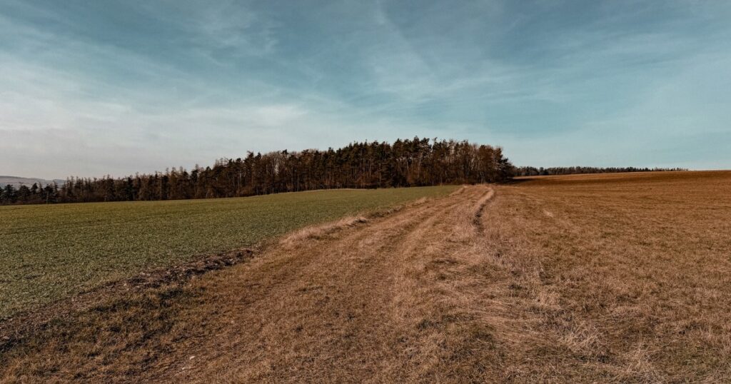 Okolní příroda u Velké Bukové