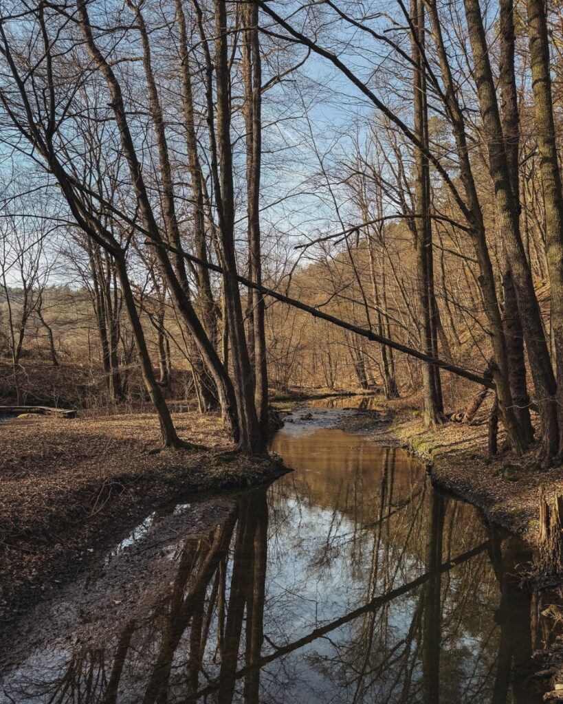 Přechod přes Žbirožský potok