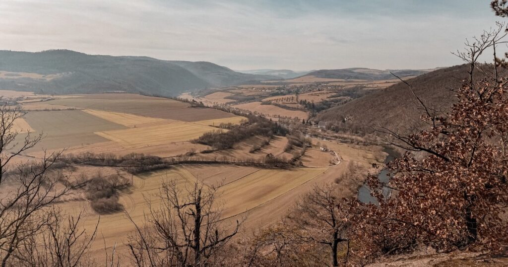 Výhled na Berounku