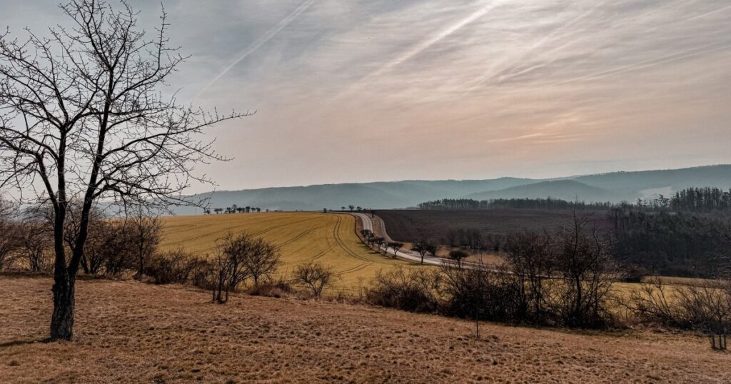 Výhledy od rozhledny Velká Buková
