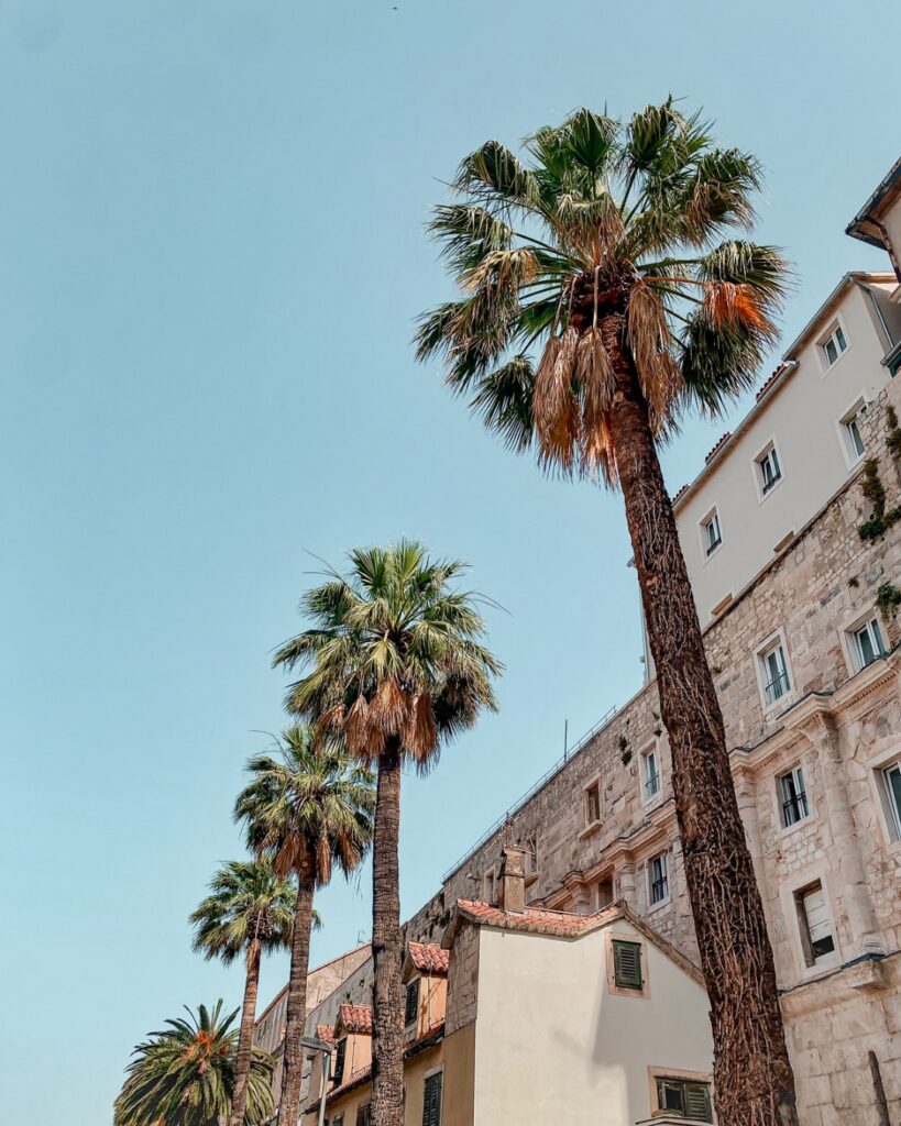 Split