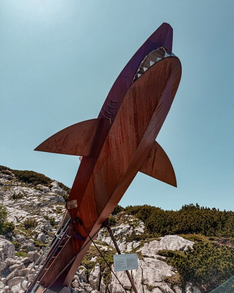 Dachstein Hai